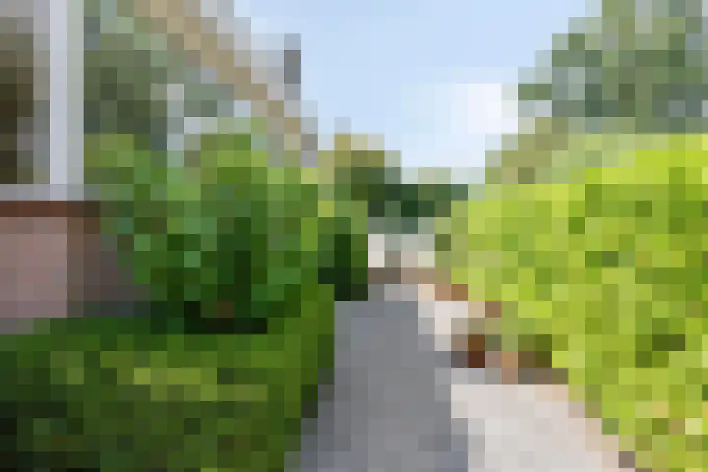 Koningin Julianaweg 33 Maasland thumbnail 64