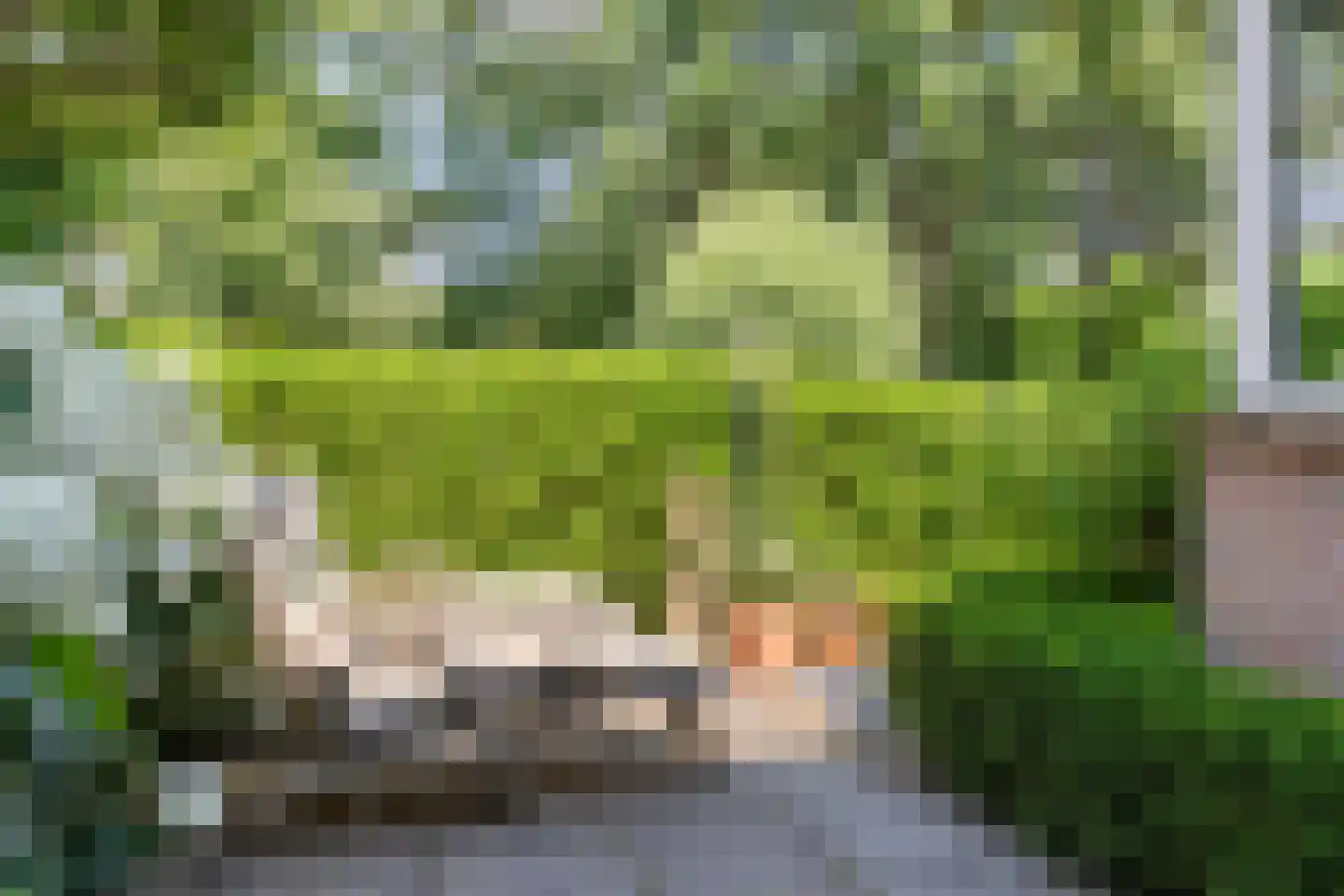 Koningin Julianaweg 33 Maasland thumbnail 67