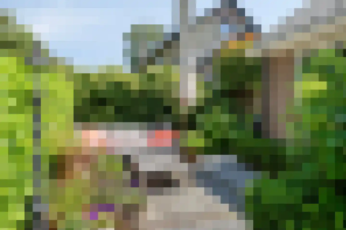 Koningin Julianaweg 33 Maasland thumbnail 69