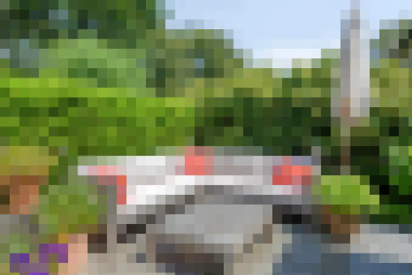 Koningin Julianaweg 33 Maasland thumbnail 70