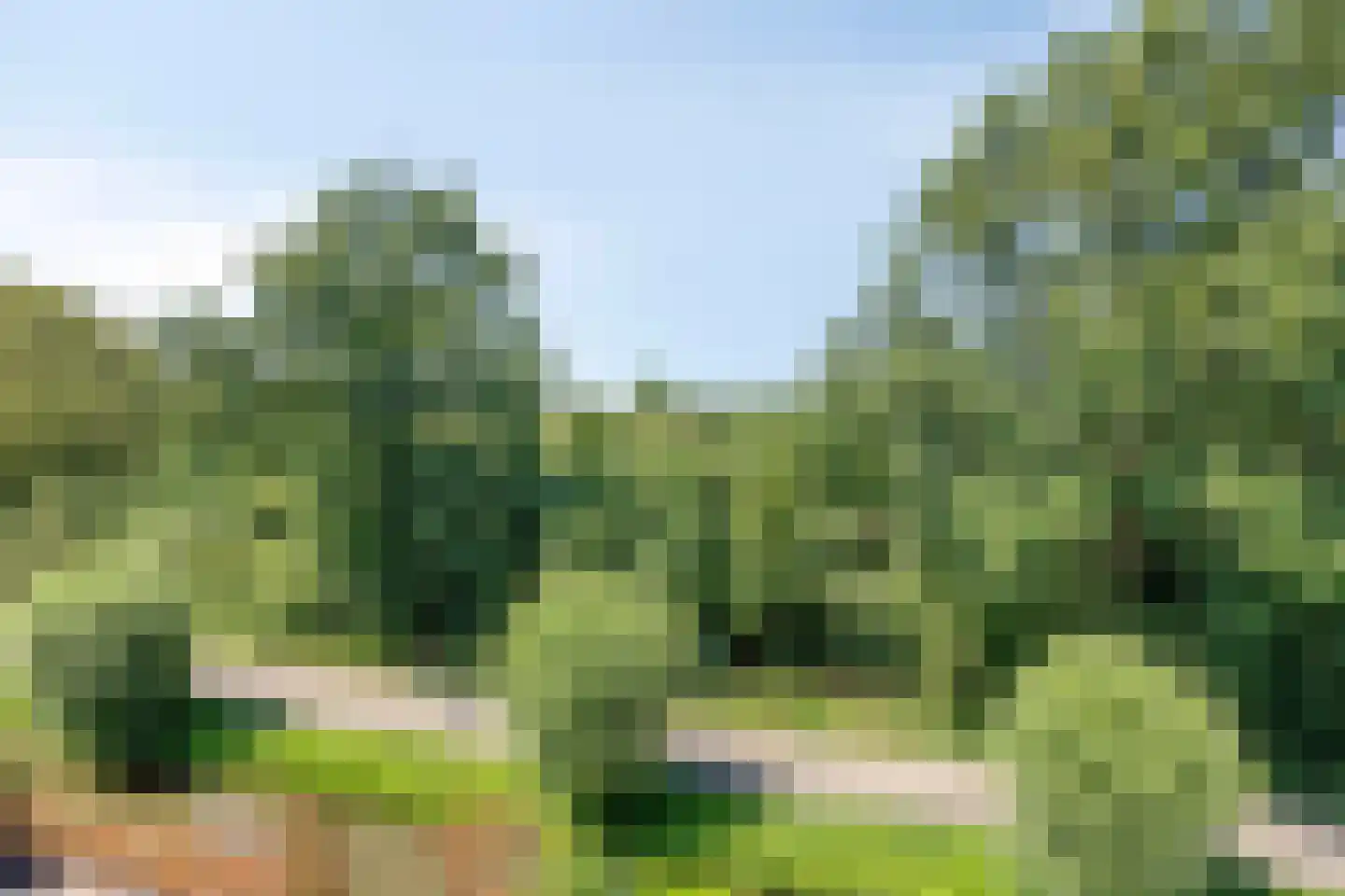 Koningin Julianaweg 33 Maasland thumbnail 76