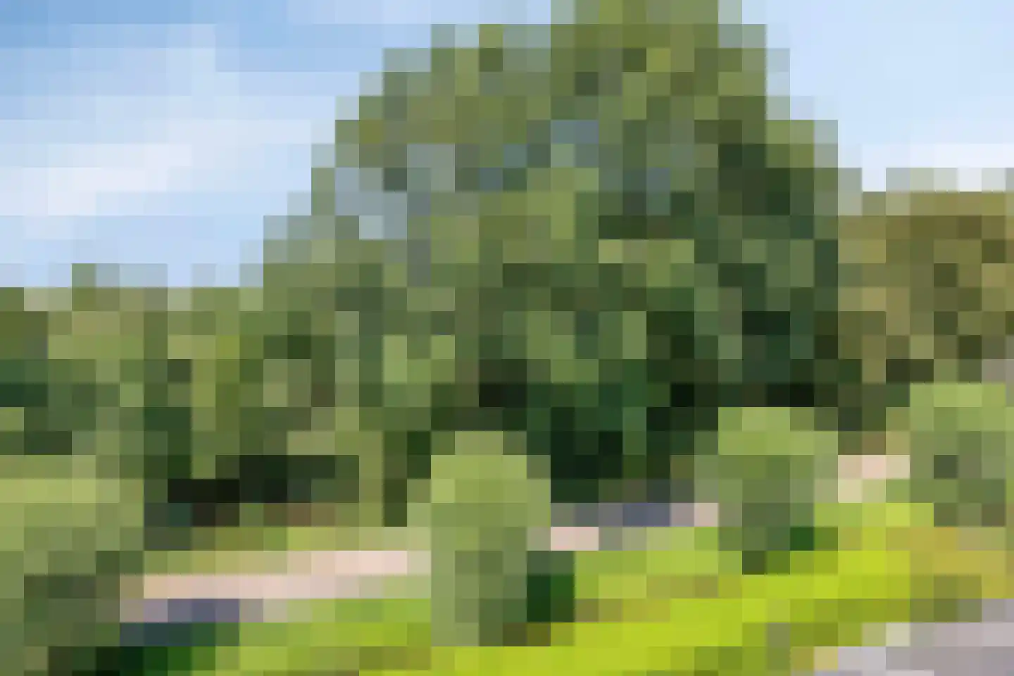 Koningin Julianaweg 33 Maasland thumbnail 77