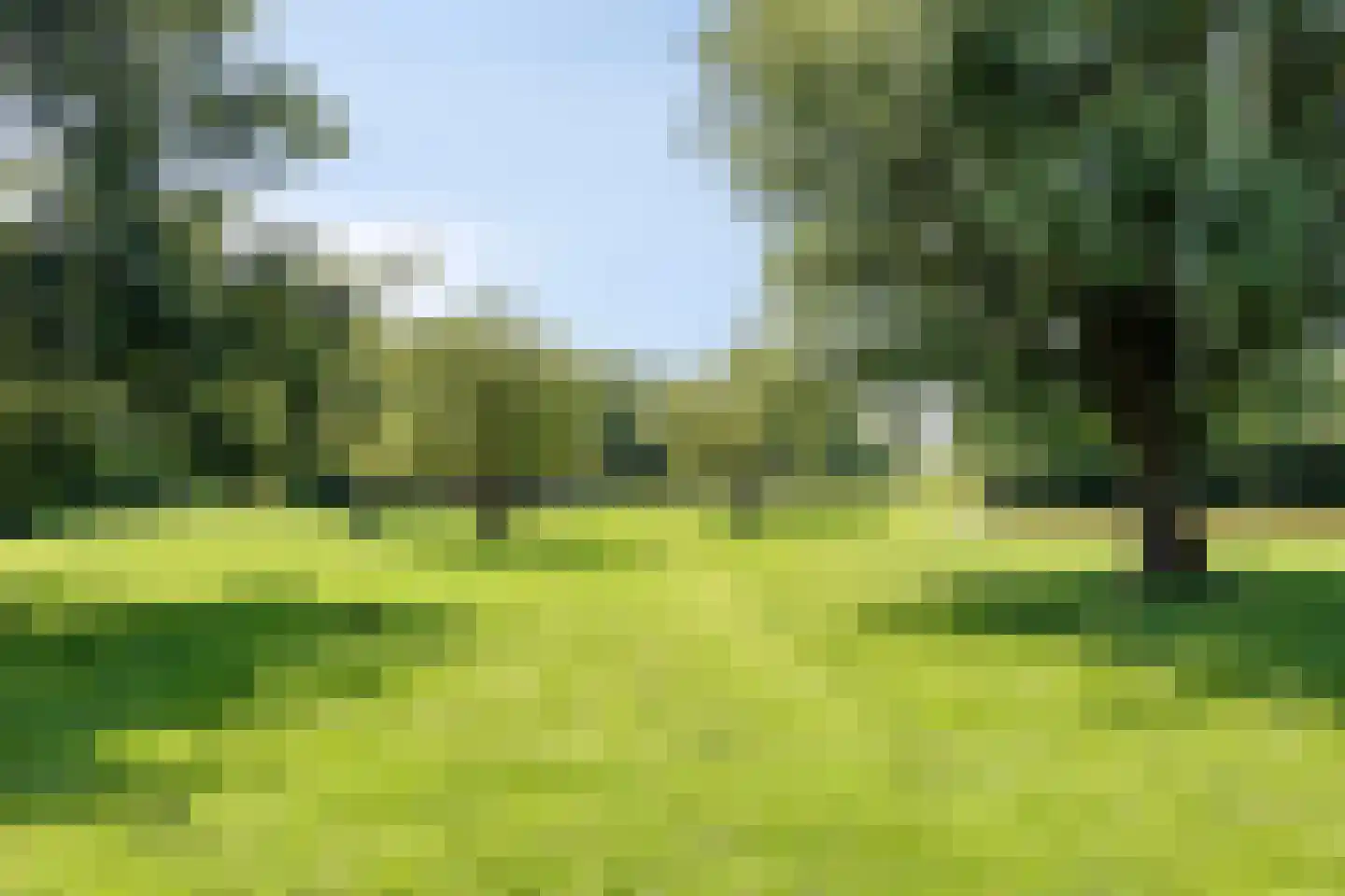 Koningin Julianaweg 33 Maasland thumbnail 80