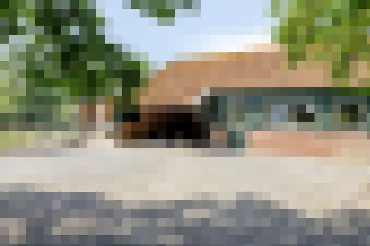 Koningin Julianaweg 33 Maasland thumbnail 81
