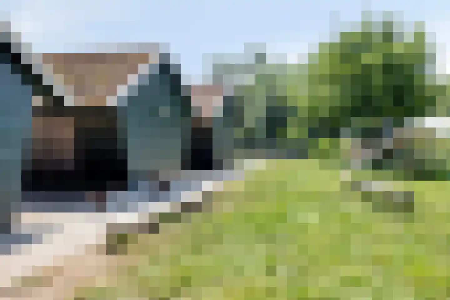 Koningin Julianaweg 33 Maasland thumbnail 82