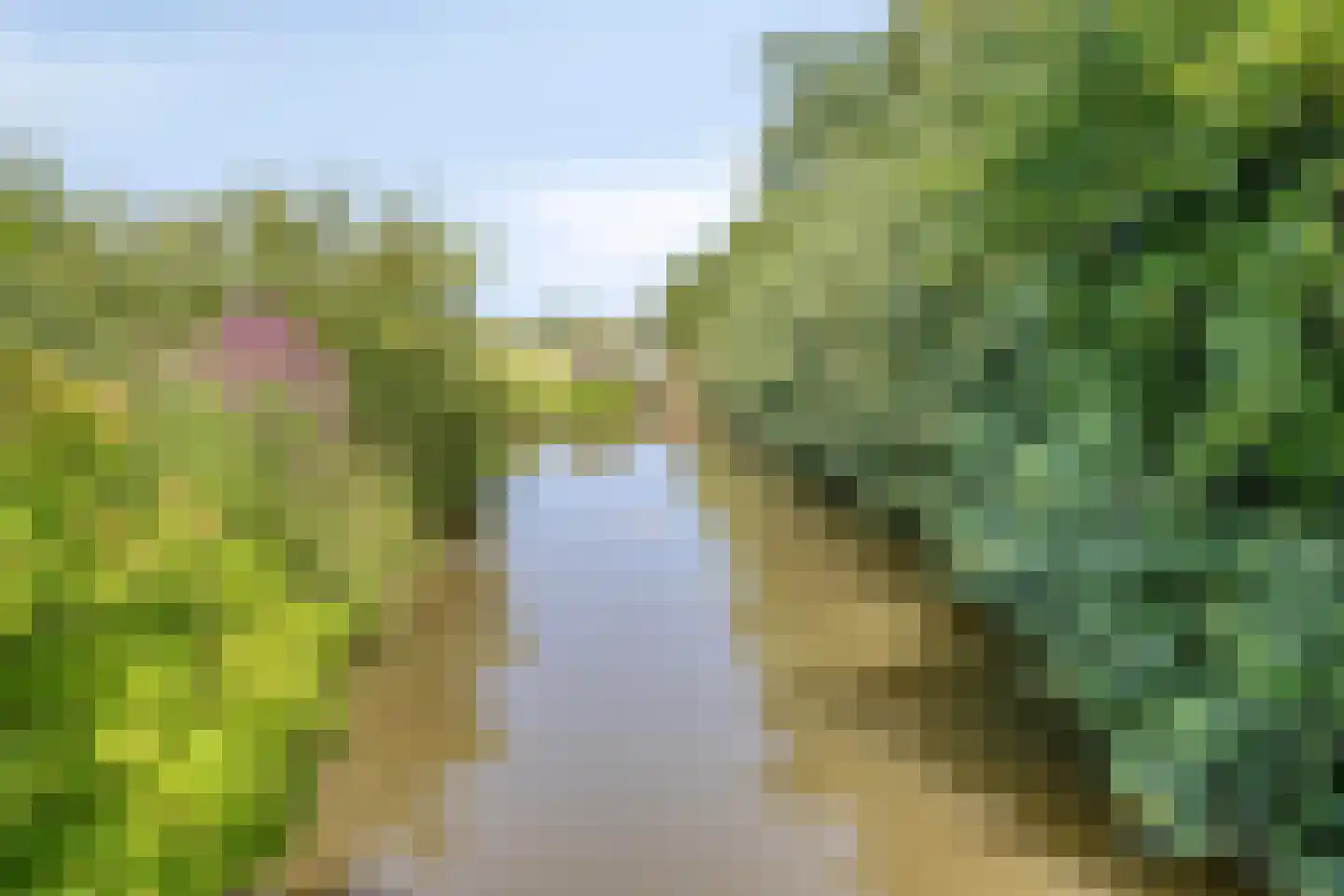 Koningin Julianaweg 33 Maasland thumbnail 84
