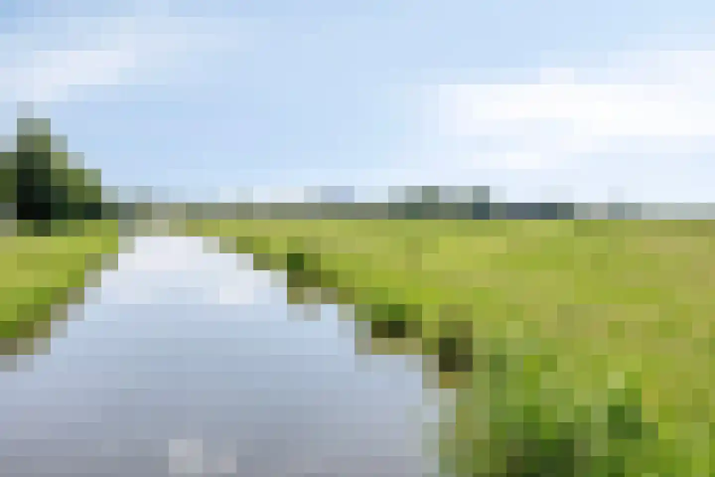 Koningin Julianaweg 33 Maasland thumbnail 85