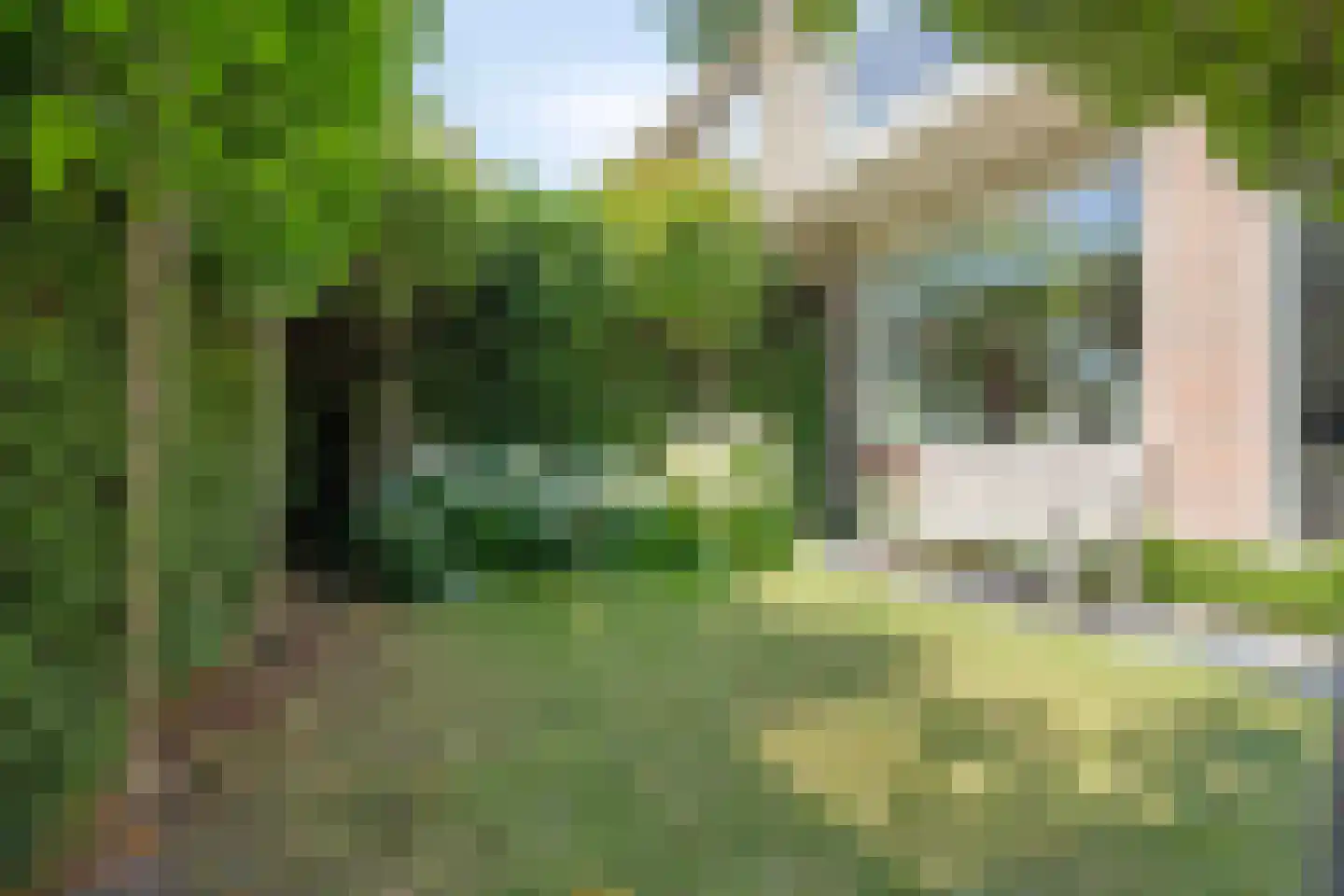Koningin Julianaweg 33 Maasland thumbnail 9