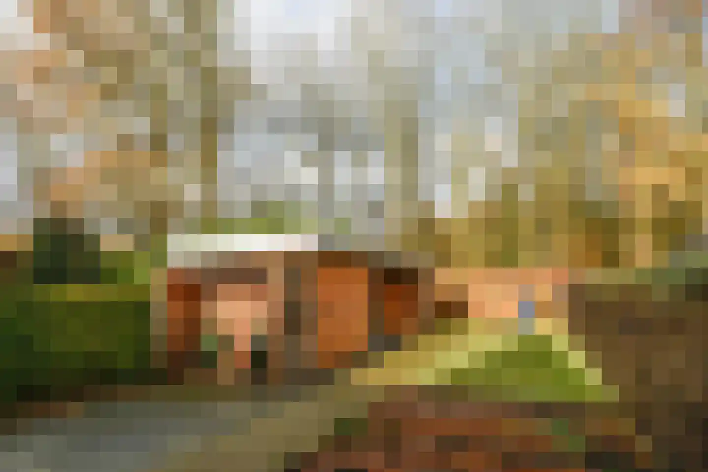 Koningin Julianaweg 35 Oranjewoud thumbnail 24