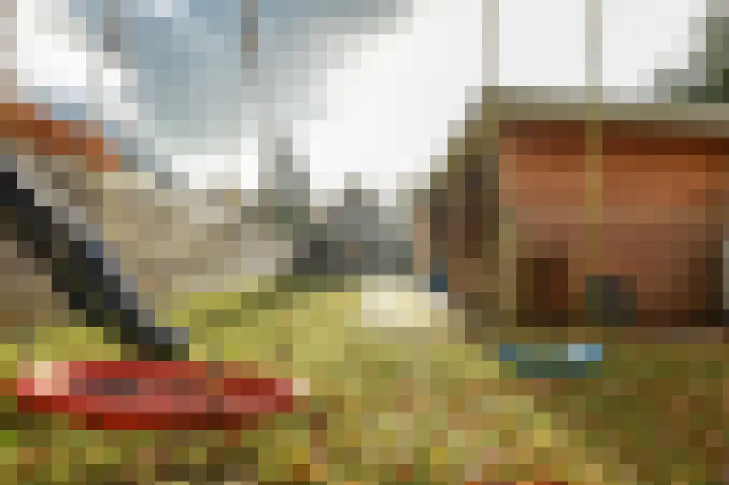 Koningin Julianaweg 35 Oranjewoud thumbnail 25