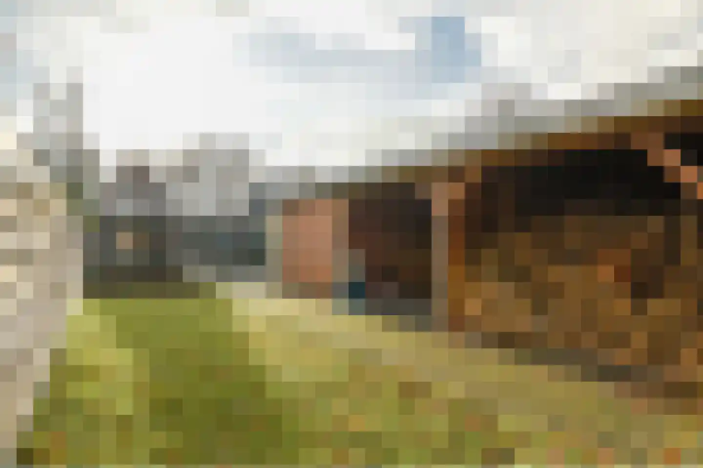 Koningin Julianaweg 35 Oranjewoud thumbnail 26