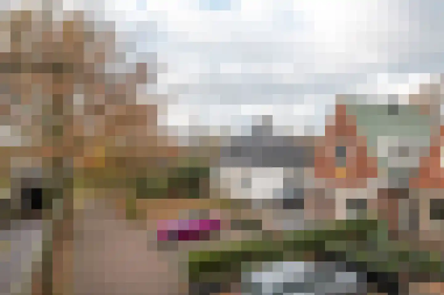 Koningin Julianaweg 35 Oranjewoud thumbnail 30