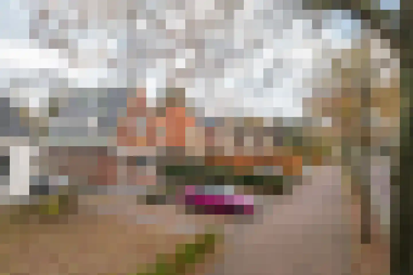 Koningin Julianaweg 35 Oranjewoud thumbnail 33