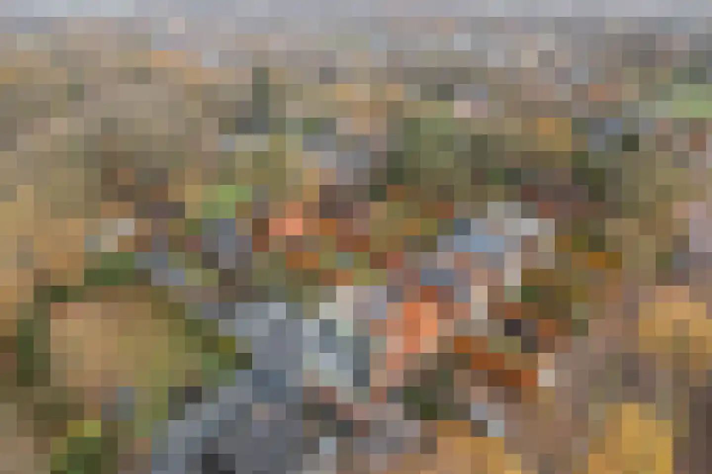 Koningin Julianaweg 35 Oranjewoud thumbnail 34