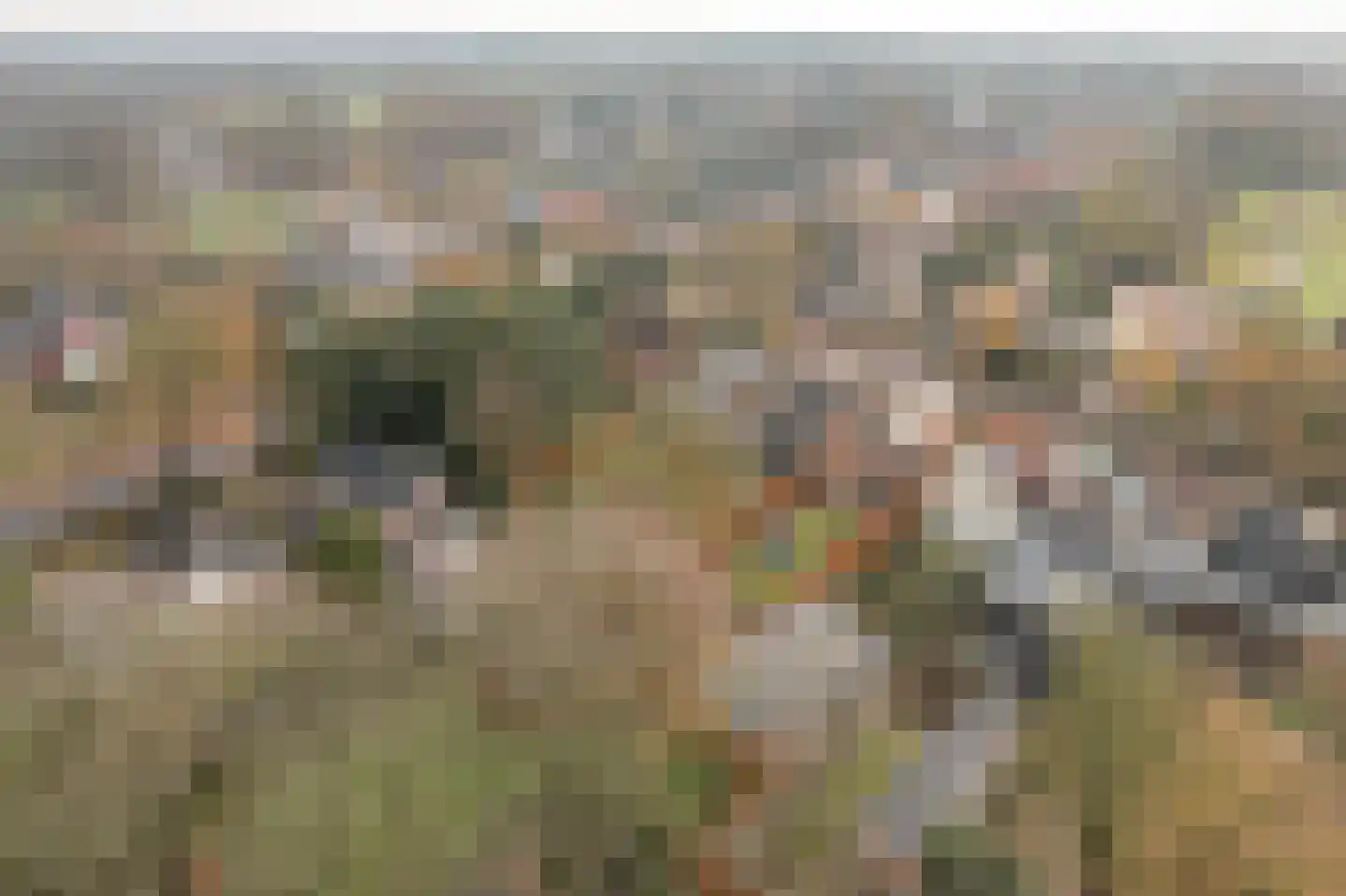 Koningin Julianaweg 35 Oranjewoud thumbnail 35