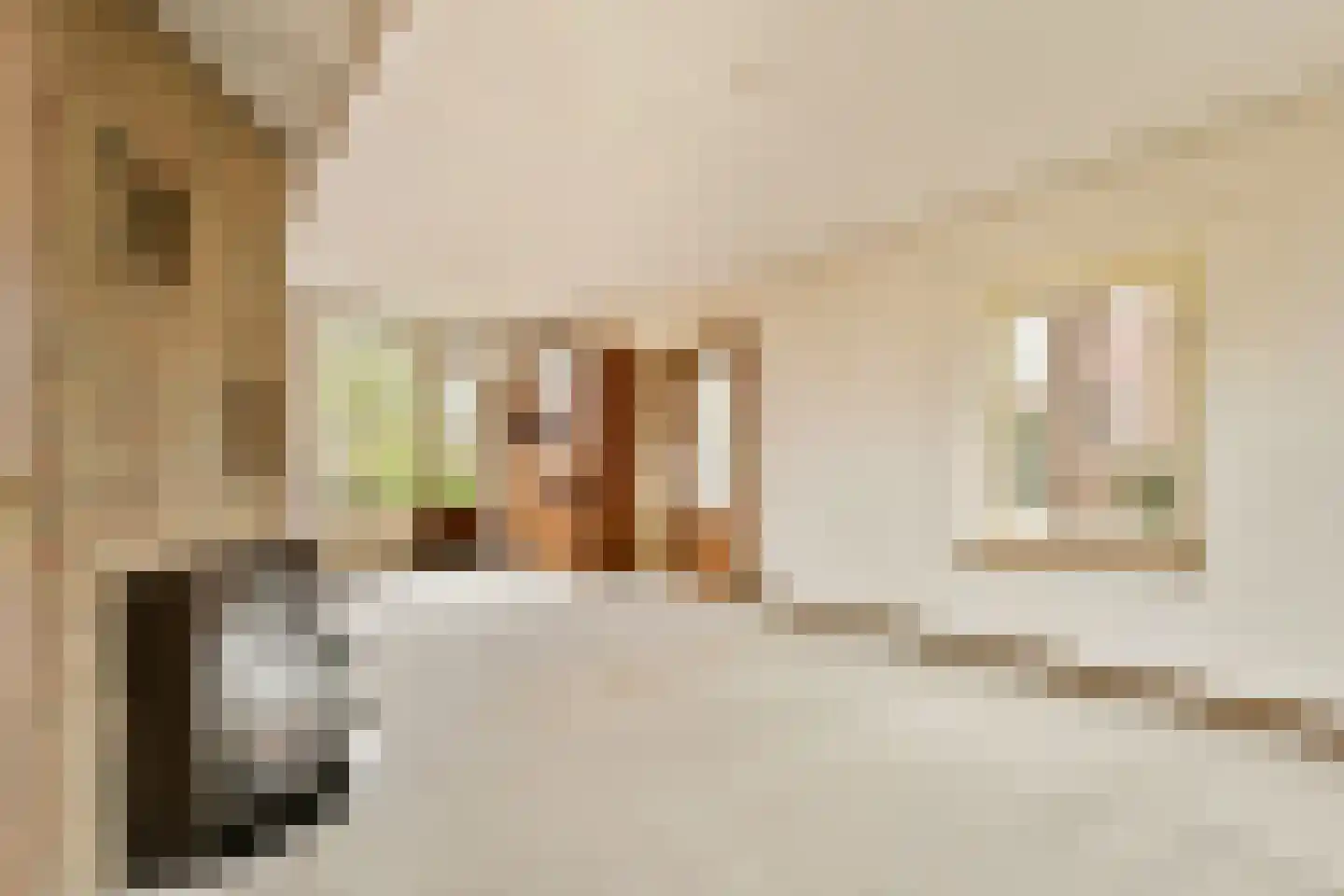 Koningin Julianaweg 42 Loenen aan de Vecht thumbnail 6