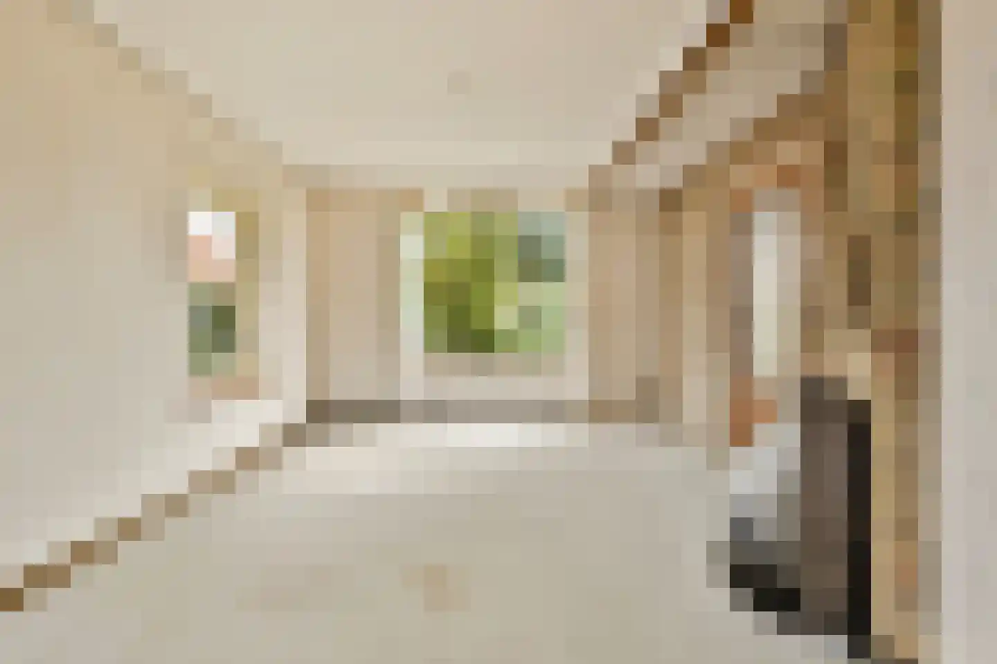 Koningin Julianaweg 42 Loenen aan de Vecht thumbnail 8