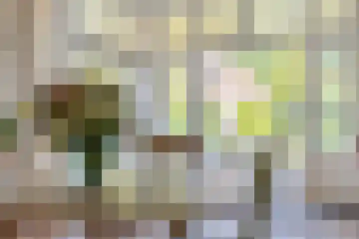 Koningin Julianaweg 43 Oranjewoud thumbnail 10