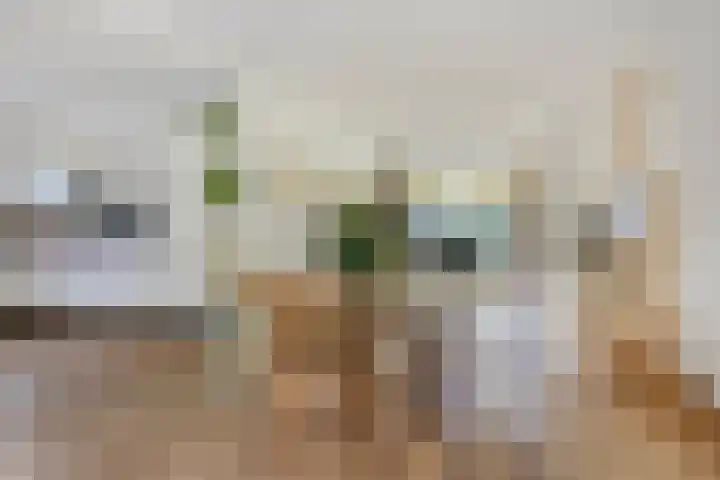 Koningin Julianaweg 43 Oranjewoud thumbnail 12