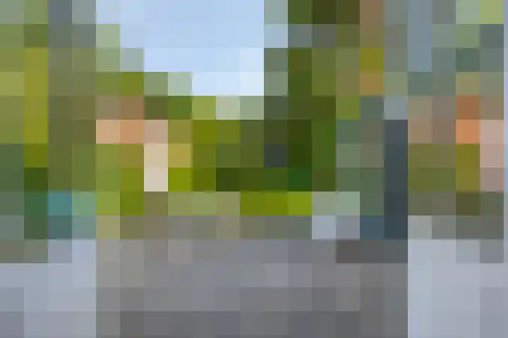 Koningin Julianaweg 43 Oranjewoud thumbnail 14