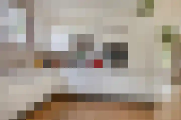 Koningin Julianaweg 43 Oranjewoud thumbnail 16