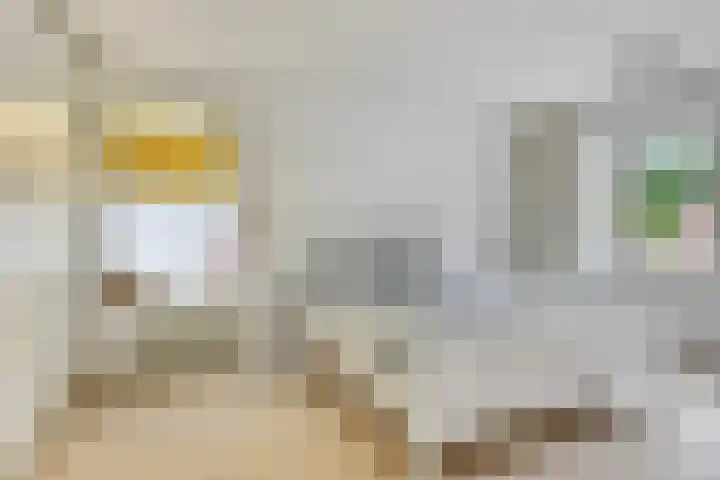 Koningin Julianaweg 43 Oranjewoud thumbnail 21