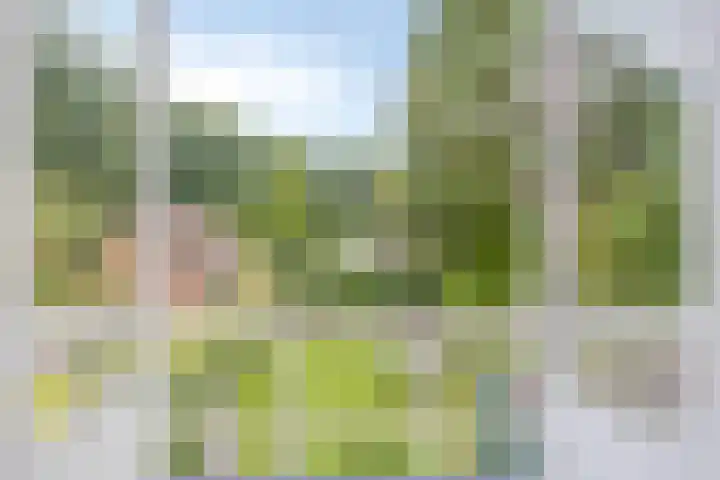 Koningin Julianaweg 43 Oranjewoud thumbnail 24