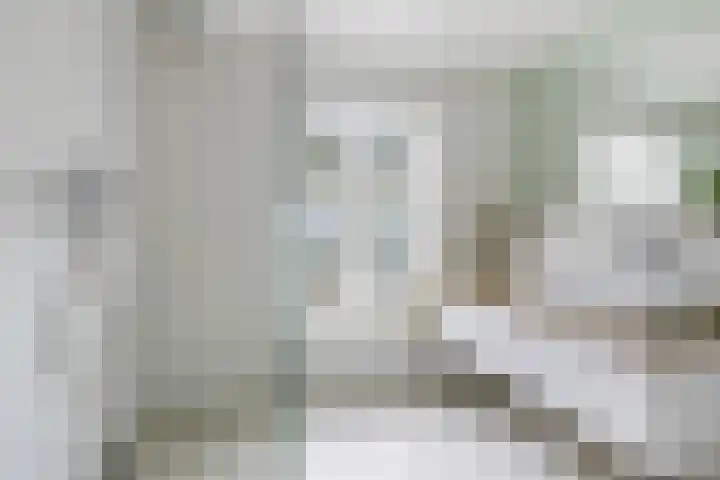 Koningin Julianaweg 43 Oranjewoud thumbnail 27