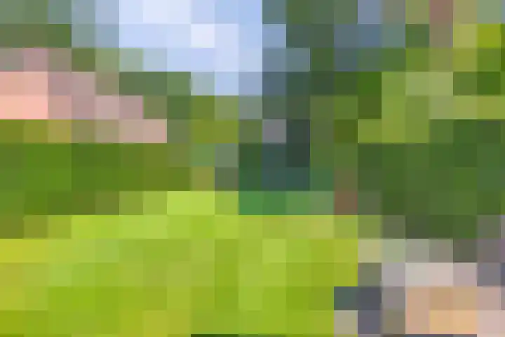 Koningin Julianaweg 43 Oranjewoud thumbnail 38