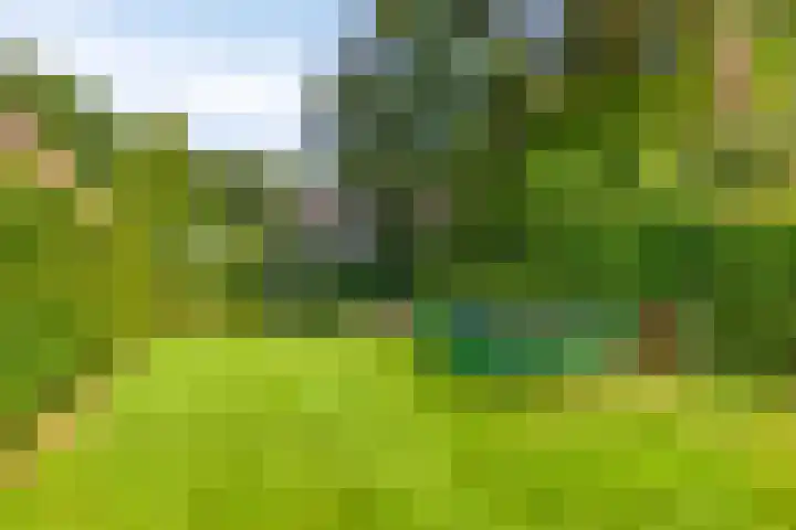 Koningin Julianaweg 43 Oranjewoud thumbnail 39