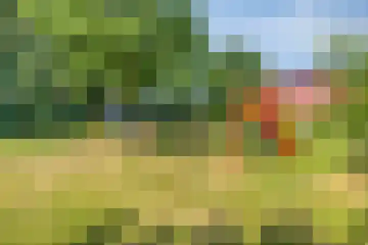 Koningin Julianaweg 43 Oranjewoud thumbnail 41
