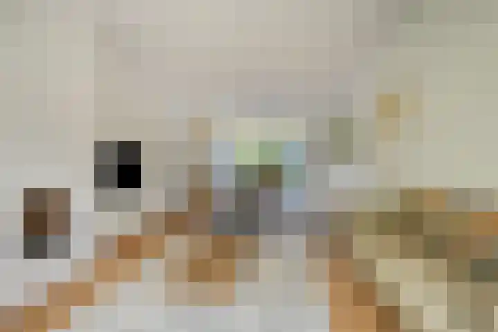 Koningin Julianaweg 43 Oranjewoud thumbnail 8