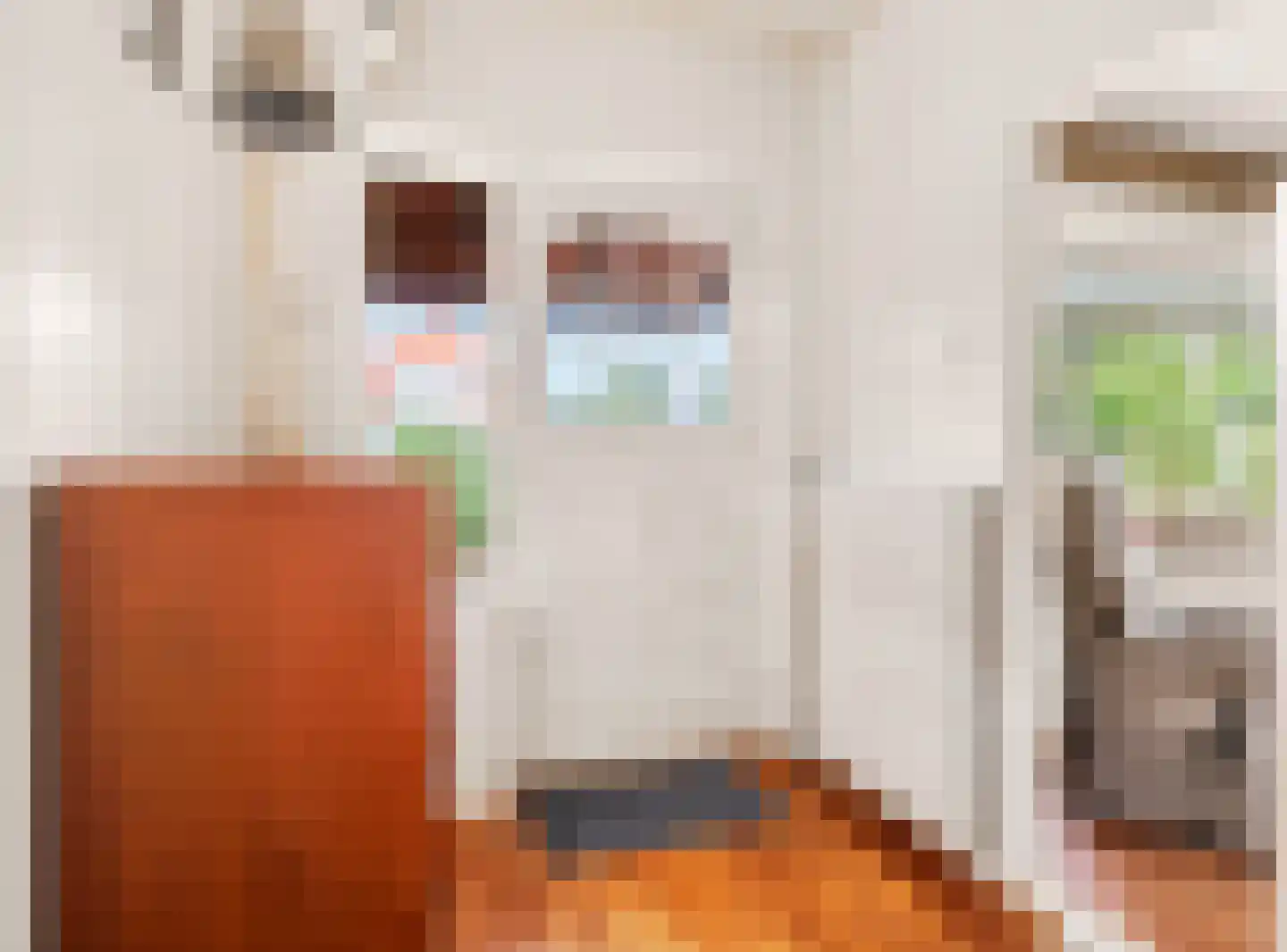 Koningin Julianaweg 47 Oldemarkt thumbnail 8