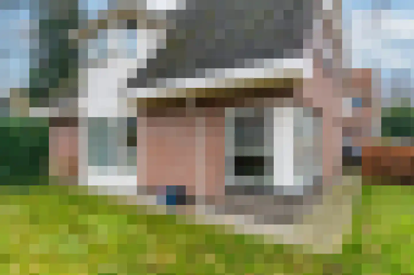 Koningin Julianaweg 52 Oranjewoud thumbnail 47