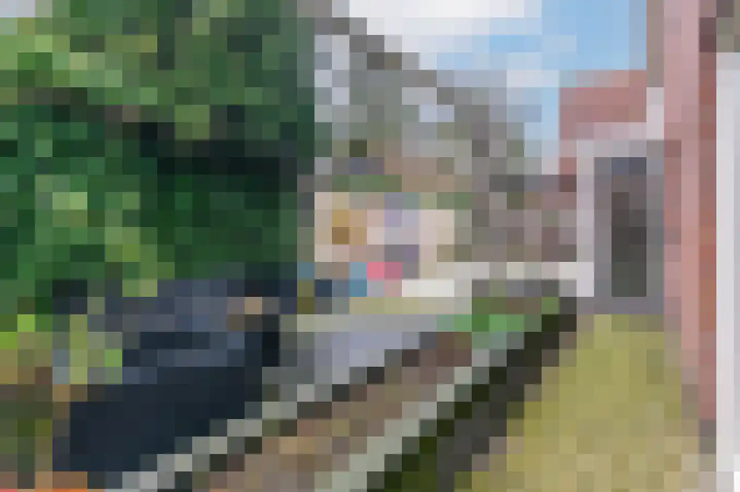 Koningin Julianaweg 52 Oranjewoud thumbnail 49