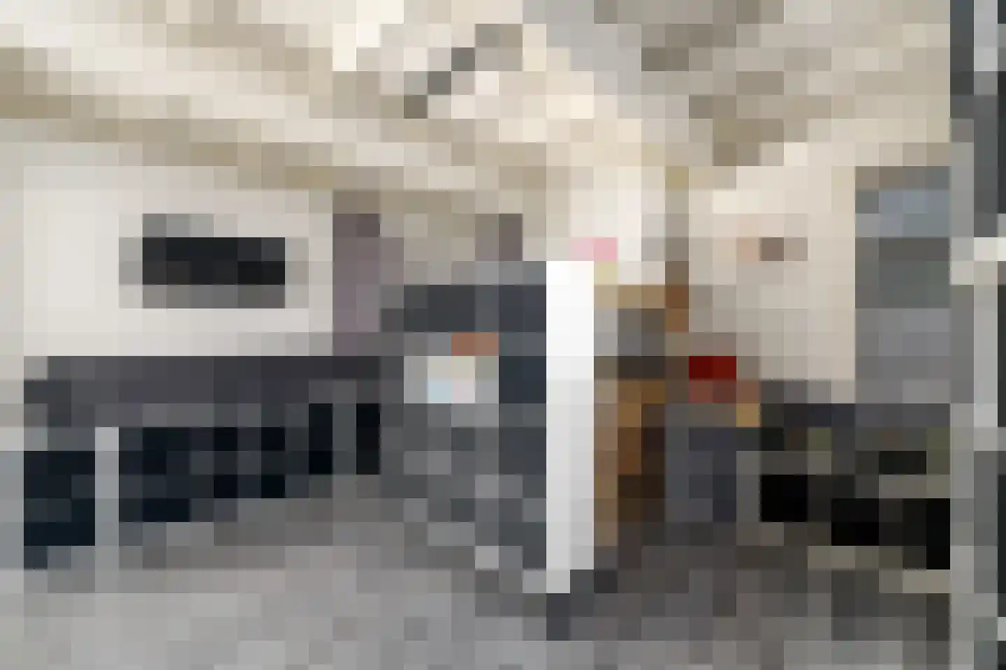 Koningin Julianaweg 55 Oldemarkt thumbnail 11