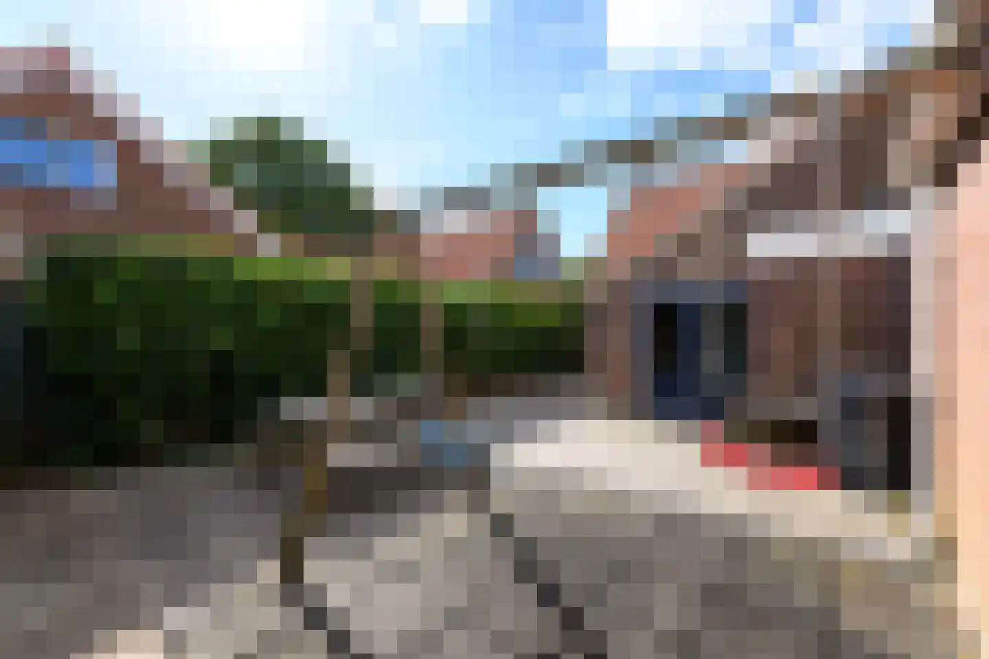 Koningin Julianaweg 55 Oldemarkt thumbnail 39