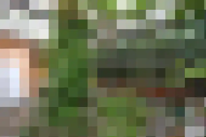 Koningin Julianaweg 55 's-Gravenzande thumbnail 21