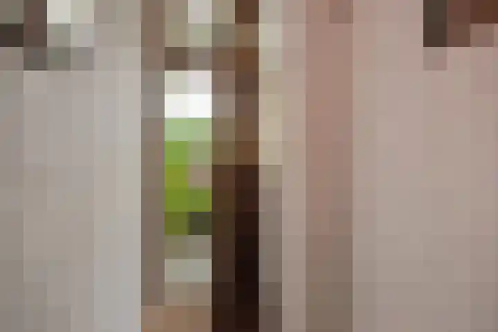 Koningin Julianaweg 65 Leidschendam thumbnail 4