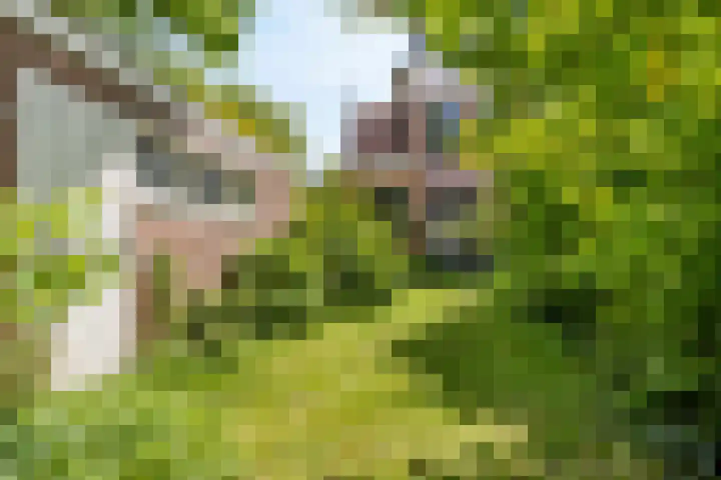 Koningin Julianaweg 7 Leidschendam thumbnail 12