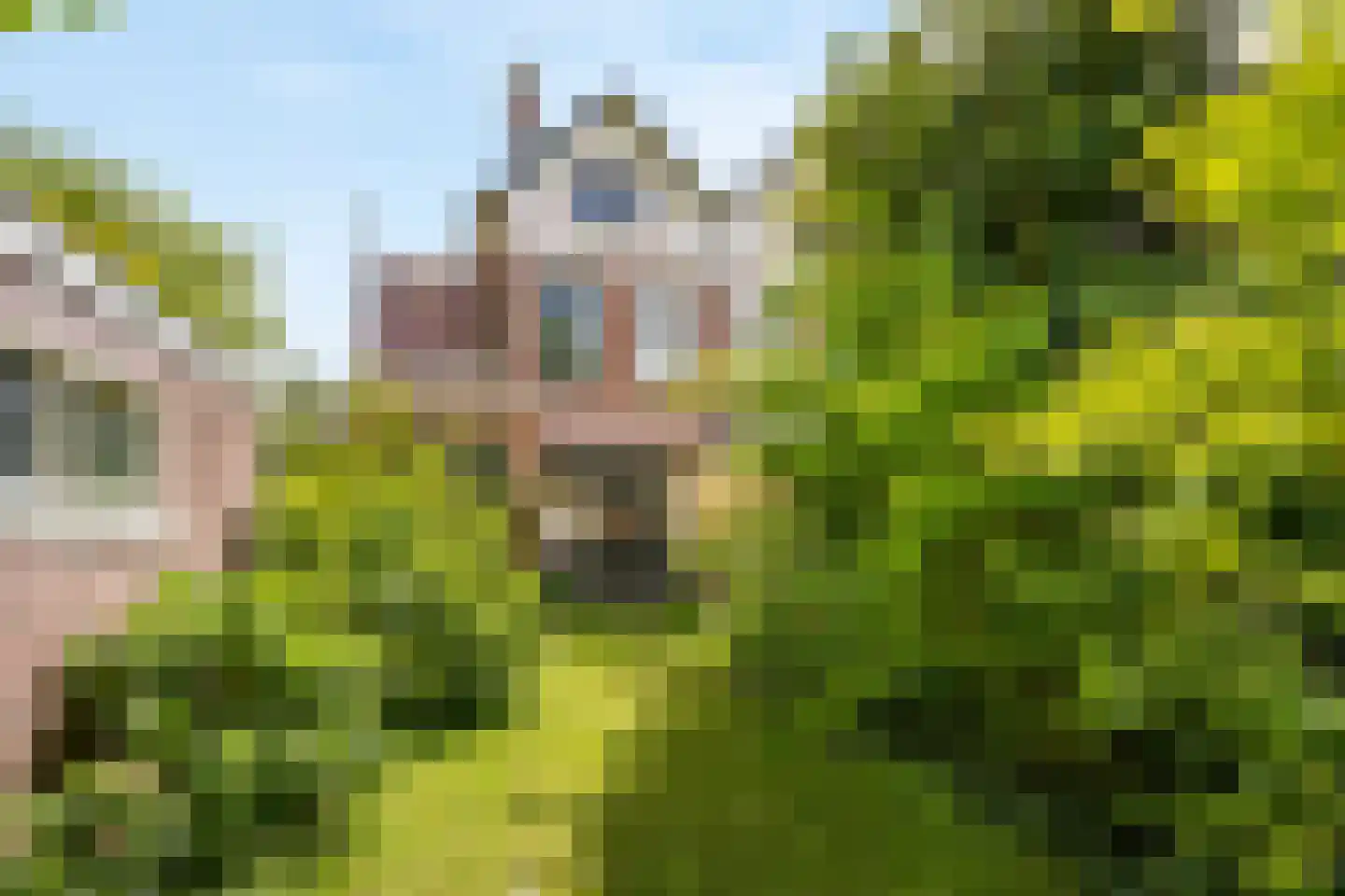 Koningin Julianaweg 7 Leidschendam thumbnail 14
