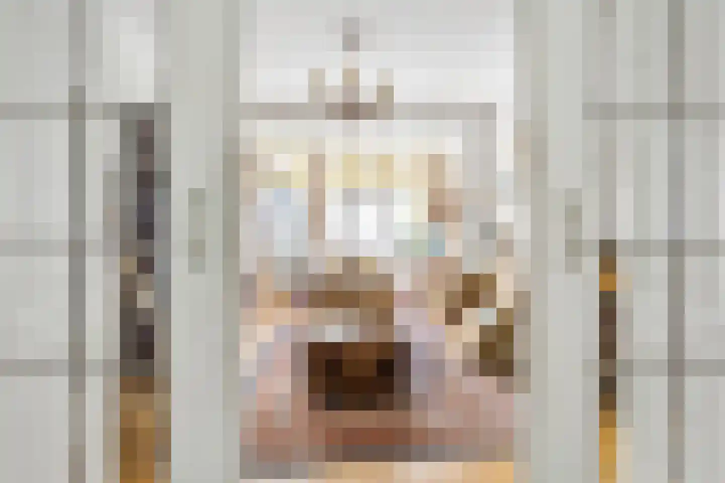 Koningin Julianaweg 7 Leidschendam thumbnail 15