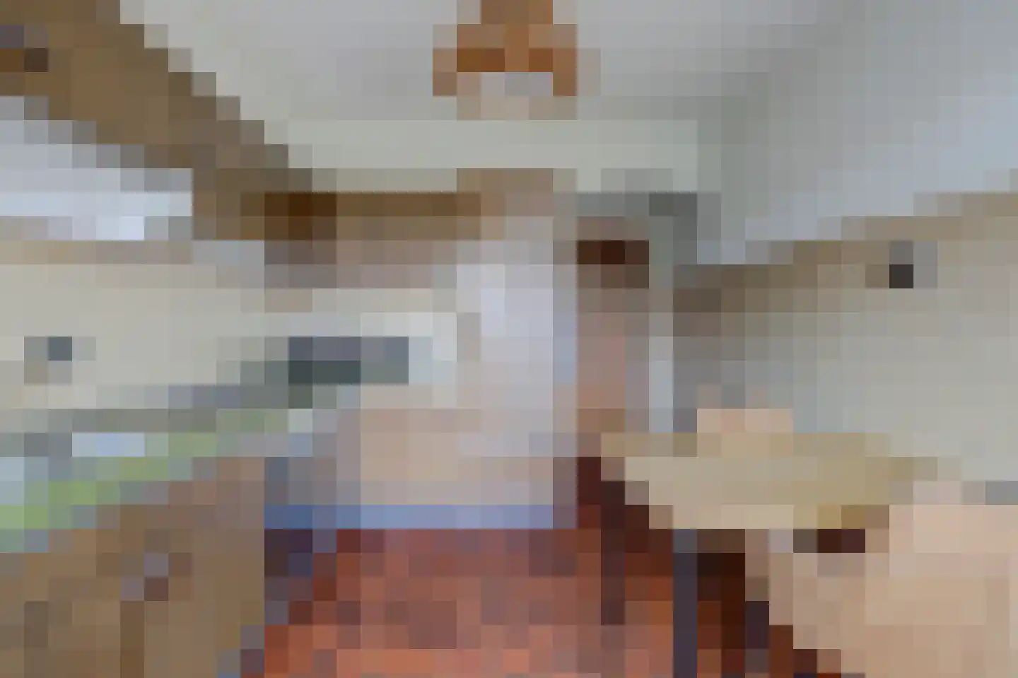 Koningin Julianaweg 74 Best thumbnail 16