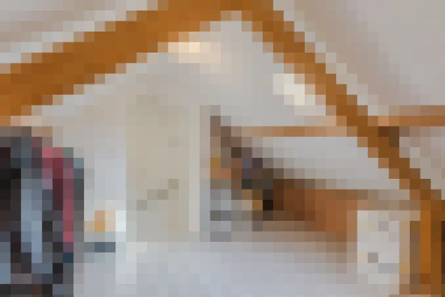 Koningin Julianaweg 76 Loenen aan de Vecht thumbnail 44