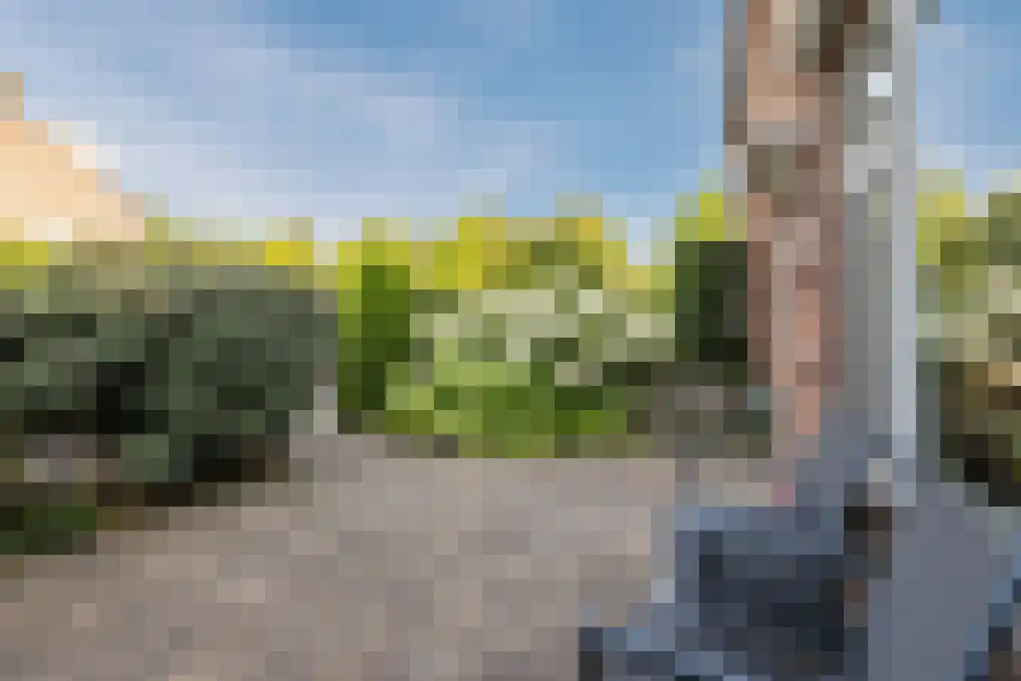 Koningin Julianaweg 76 Loenen aan de Vecht thumbnail 8