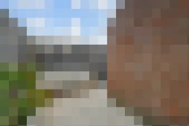 Koningin Julianaweg 8 's-Gravenzande thumbnail 44