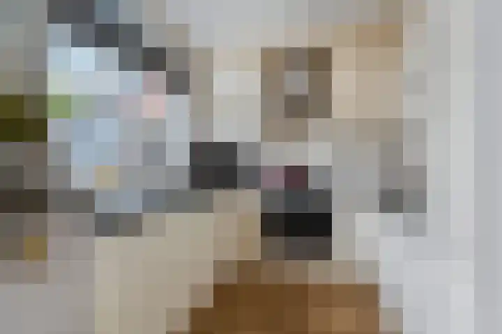 Koningin Julianaweg 8 's-Gravenzande thumbnail 9