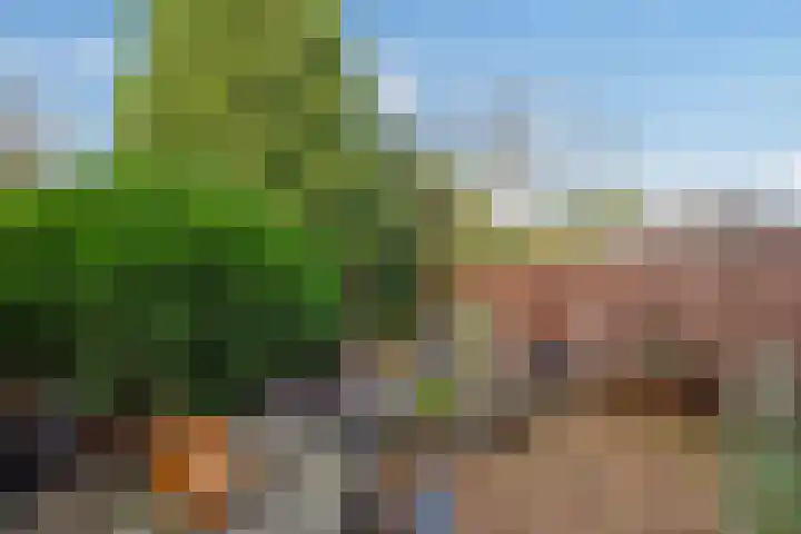 Koningin Julianaweg 89 Leidschendam thumbnail 38