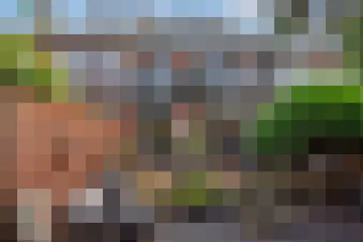 Koningin Julianaweg 89 Leidschendam thumbnail 41