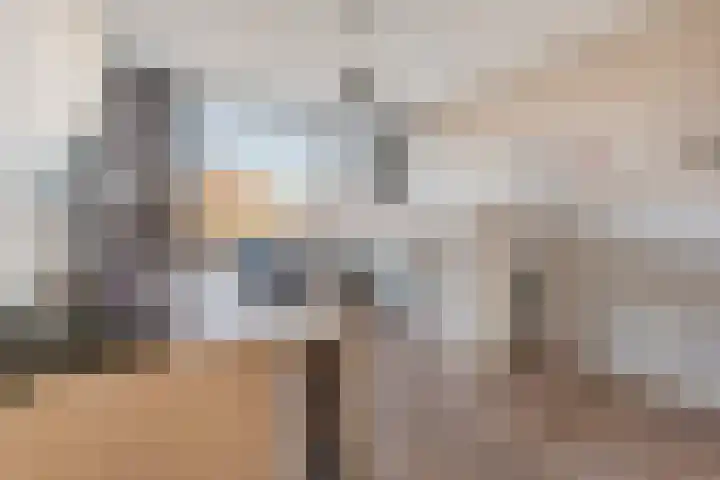 Koningin Julianaweg 9 's-Gravenzande thumbnail 16